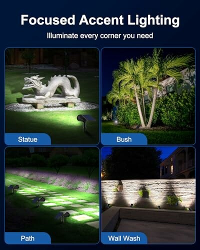 Different accent lighting options including statue, bush, path, and wall wash.